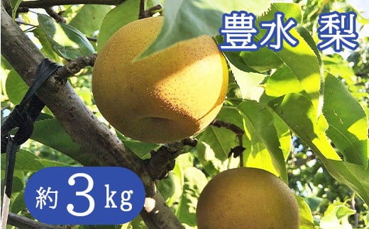 
            【秀品】採れたて 梨 豊水  約3kg 【予約受付】【1243】
          