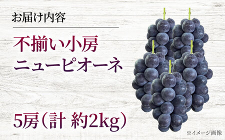 【すぐ届く】不揃い小房 訳ありニューピオーネ5房[APAB003] ぶどう
