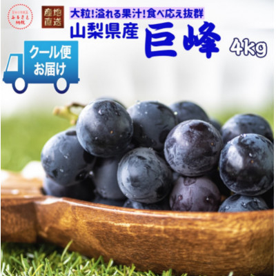 ＜2024年先行受付＞安心のクール便発送　山梨県産巨峰 4kg(6～8房)
