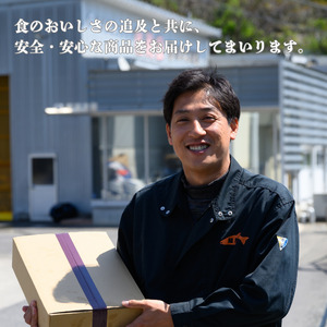 鮭 切り身 3kg 訳あり 塩鮭 大人気 家計応援【MS07】