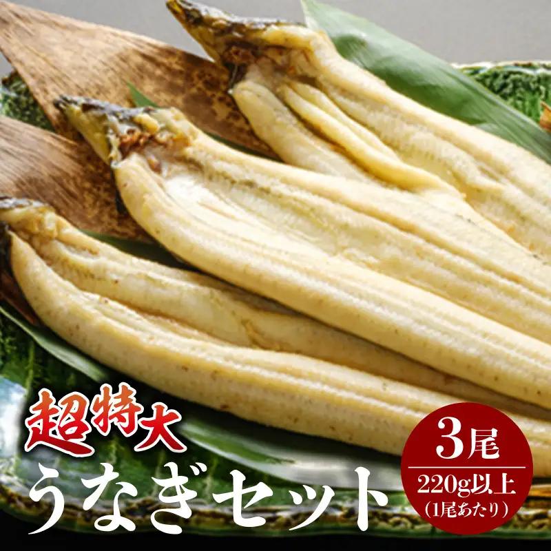 うなぎ 白焼き うなぎ[国産 3尾]