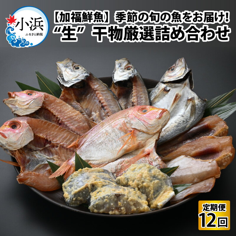 【ふるさと納税】《定期便》全12回 (毎月発送)【加福鮮魚】 季節の旬の魚をお届け！"生"干物厳選詰め合わせ｜ ひもの 醤油干し 味噌漬け 塩干し 一夜干し 海鮮 詰め合わせ 旬 海の幸 セット あじ さば 【配送不可地域：北海道・沖縄・離島】 [BFBC014]