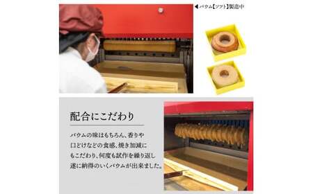 【ふるさと納税】＜ハード＞ごちそうバウム 1個 バームクーヘン バウムクーヘン しっかり スイーツ グルテンフリー 米粉菓子 佐川町産米粉使用 【着色料・香料 ・乳化剤・保存料・不使用】 地質学発祥の