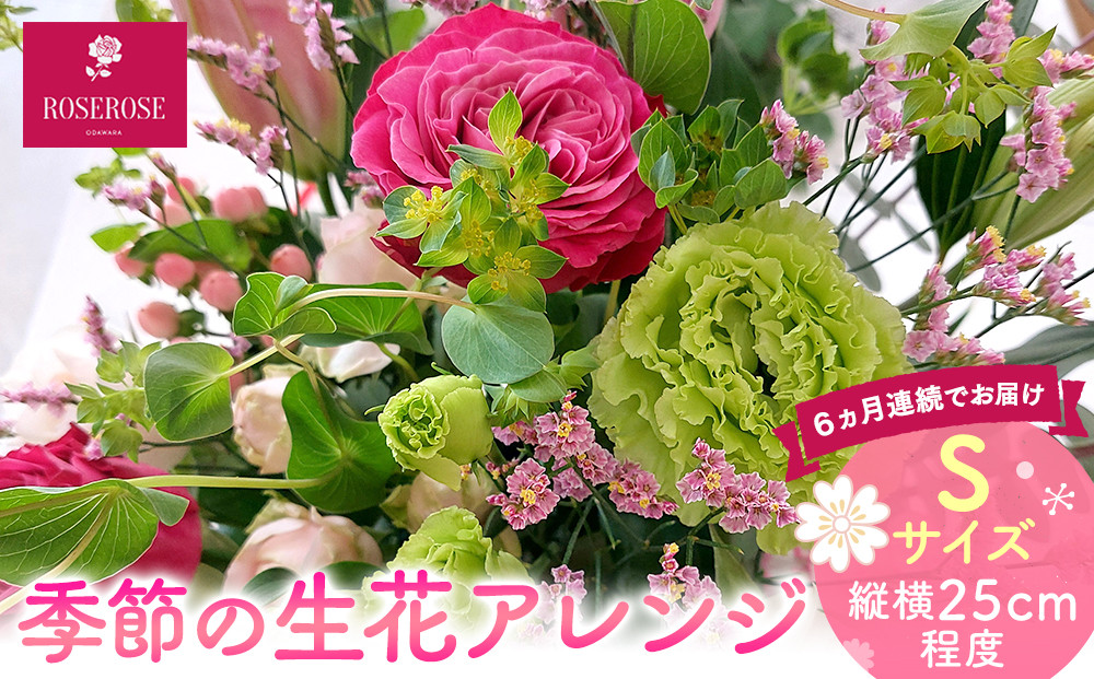 【定期便６ヵ月】季節の生花アレンジ　Sサイズ　６ヵ月連続でお届け 【 フラワー アレンジメント お花 ギフト プレゼント 贈り物 誕生日 お祝い 神奈川県 小田原市 】 142069_HQ010
