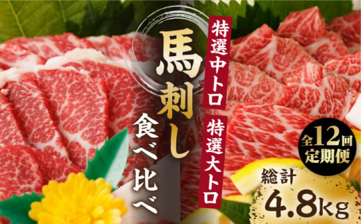 【12回定期便】特選霜降り馬刺し 中トロ大トロ2種食べ比べセット 計400g（各2pc）＋タレ大 馬刺し 特選霜降り馬刺し 馬刺し 馬肉 桜肉 馬 肉 特選 霜降り 中トロ 大トロ タレ付き 冷凍 おつまみ 刺身 九州 熊本県 特産品 山鹿 送料無料【馬刺しの郷 民守】[ZBL107]