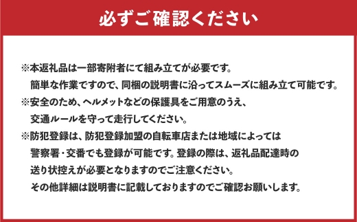 Ebony Black（99.Y5B64.602）BESV PSF2折りたたみ電動アシスト自転車20インチミニベロ