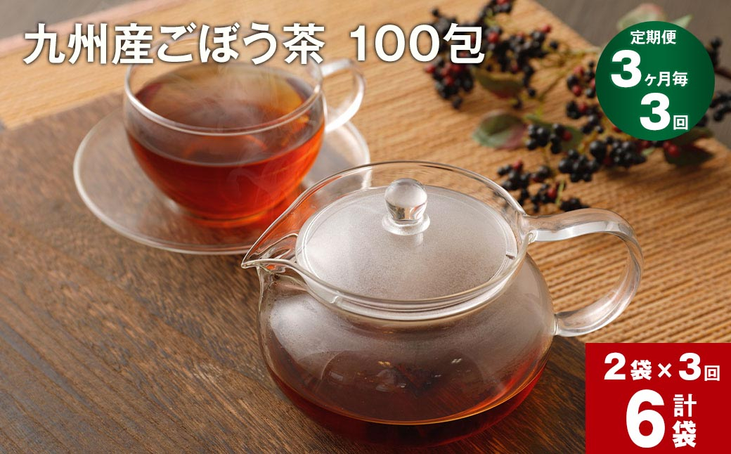 
【3ヶ月毎3回定期便】 ごぼう茶 100包 計6袋（2袋×3回） 九州産
