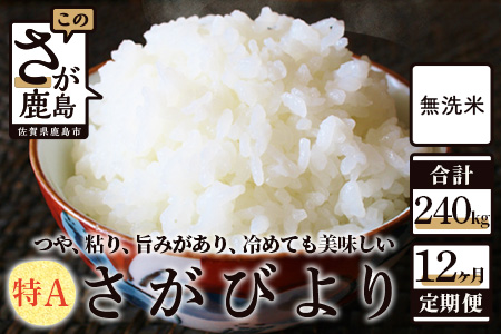 無洗米 さがびより 20kg 定期便 12回（12か月）佐賀県産 V-36