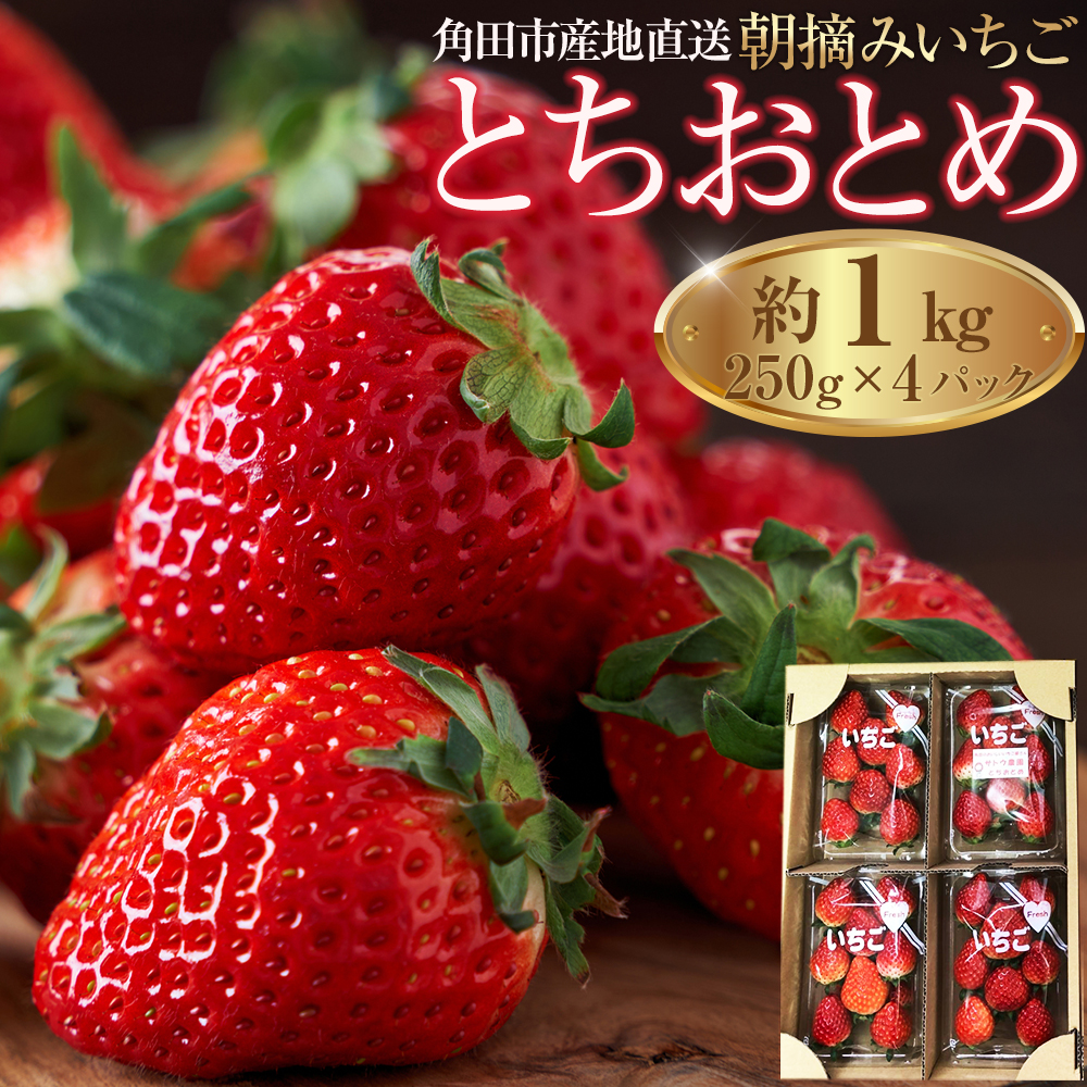 【角田市産地直送】朝摘みいちご「とちおとめ」合計約1kg（250g×4パック）