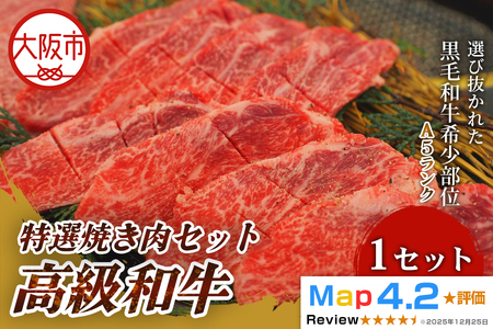 高級黒毛和牛 赤身焼肉 500g 赤身_OS266-0003