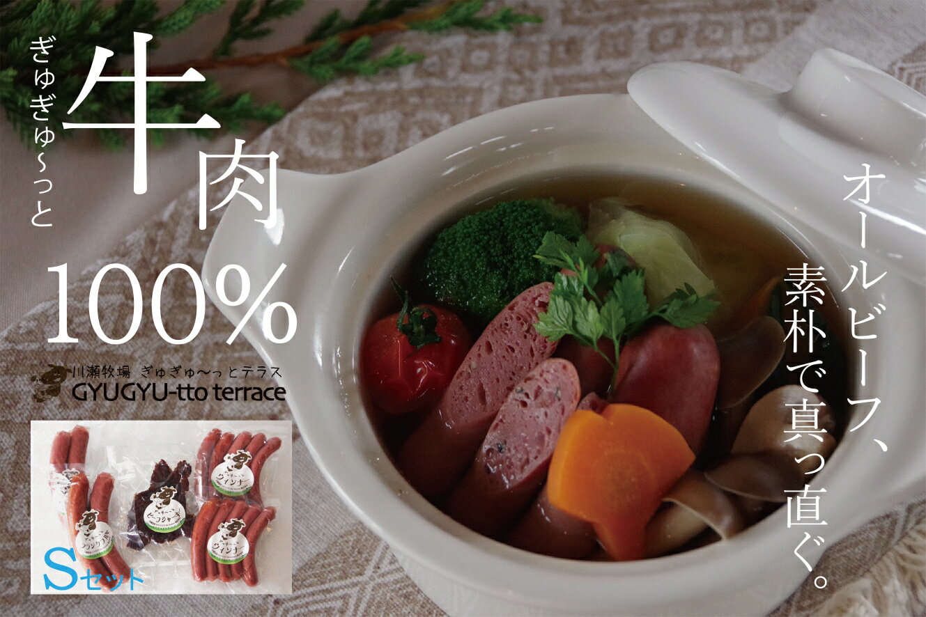【ふるさと納税】ぎゅぎゅ～っとテラスセット（S） 3種5品 | 牛 肉 ソーセージ ウインナー ビーフジャーキー セット ポトフ 100%牛肉使用 おつまみ 詰合せ 詰め合わせ 肉ギフト 北海道 津別町 送料無料