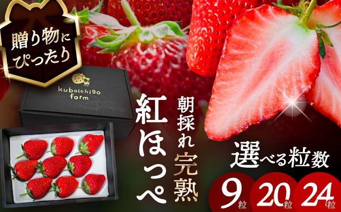 
            【選べる個数】【先行予約】 ＼毎年12月より順次発送／ 紅ほっぺ 9粒 / 20粒 / 24粒 いちご 果物 フルーツ 愛西市 / くぼ苺農園 【配達不可：北海道・沖縄・離島】 [AECJ008]
          