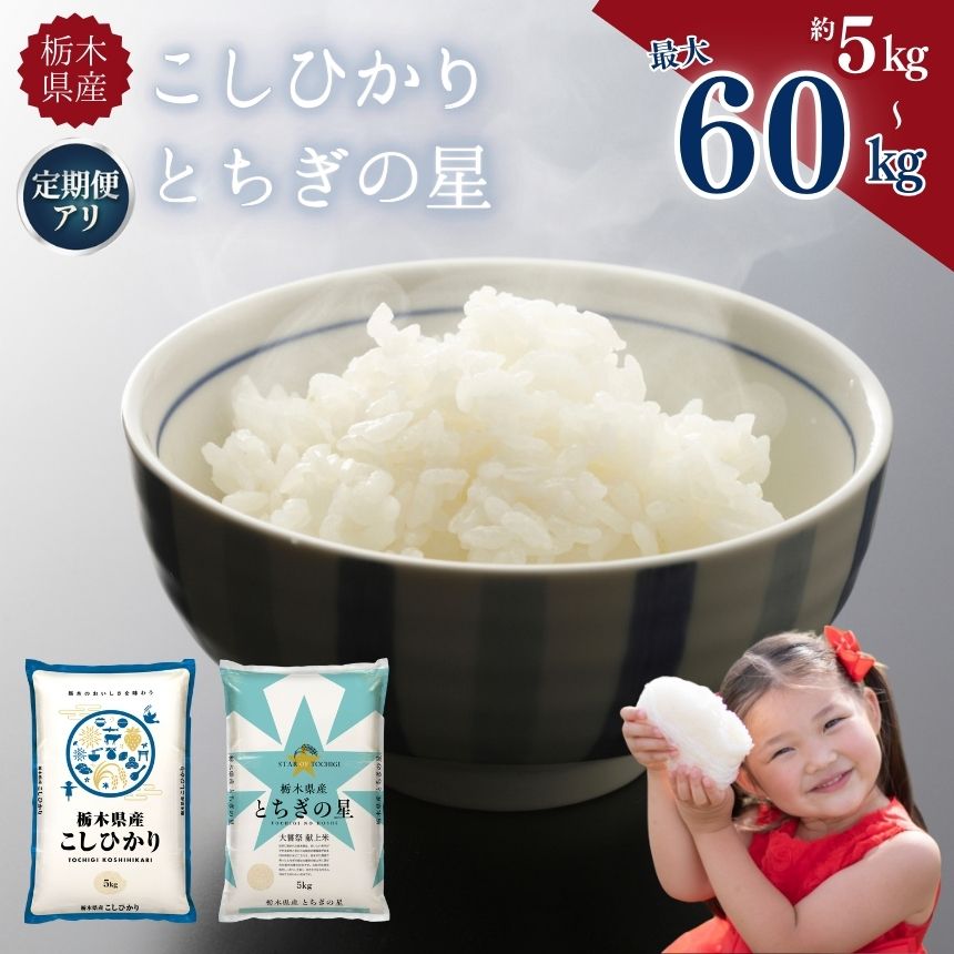 【ふるさと納税】 白米 選べる 定期便 こしひかり コシヒカリ とちぎの星 令和7年 | 5kg 10kg | 定期便 3回 6回| お米 米 こめ ご飯 美味しい ふるさと 栃木県 矢板市 【栃木県共通返礼品】 ブランド米