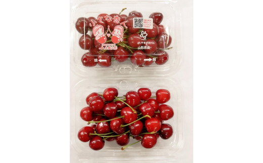 【令和8年産先行受付】山形県産さくらんぼ＜紅さやか秀品＞約800g　Lサイズ以上　200g×4P