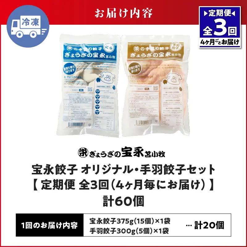 【定期便・全3回 4ヶ月毎】手包み餃子 ぎょうざの宝永 手羽餃子20個セット（宝永餃子15個入×1袋・手羽餃子5個入×1袋） T004-T06-01-01 定期便 定期 惣菜 総菜 餃子