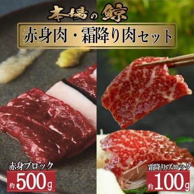 ふるさと納税 下関市 鯨 ( くじら ) 赤身 霜降り 肉 セット ブロック 計 600g 冷凍 下関 山口 FG045