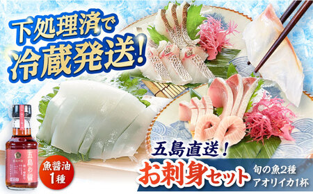 鮮魚ボックス 魚2種/アオリイカ/魚醤油[PEP002] 鮮魚 鮮魚 鮮魚 鮮魚