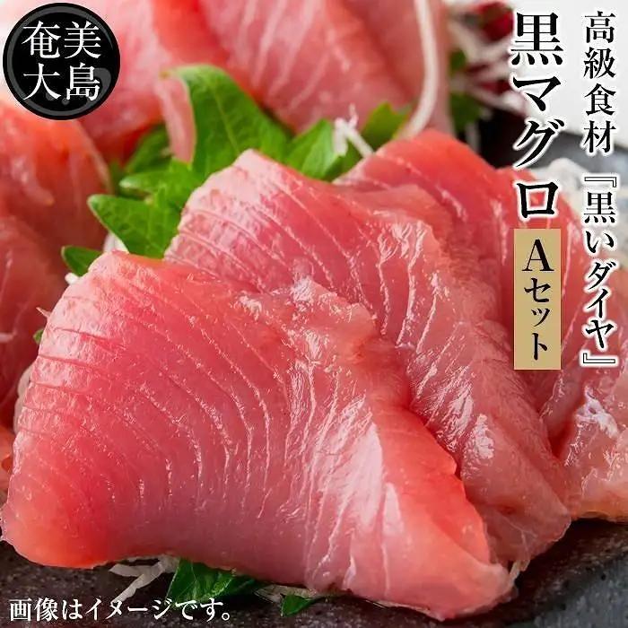 クロマグロ 鹿児島県奄美大島産高級食材『黒いダイヤ』 クロマグロ Aセット