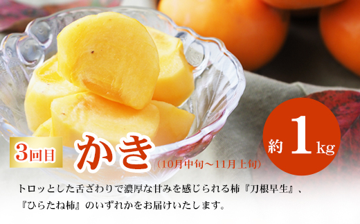 No.2868福島のフルーツ定期便４種【2026年発送】