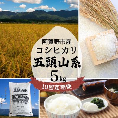 ふるさと納税 阿賀野市 【令和7年産】【10回定期便】「米屋のこだわり阿賀野市産」コシヒカリ5kg×10回 |  | 01