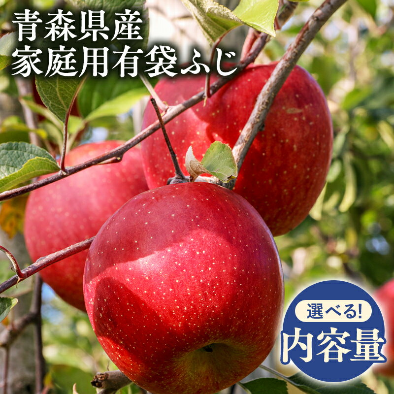 【ふるさと納税】5月～6月発送! 青森県産 家庭用 有袋ふじ【青森県 平川市 丸勝木村商店】平川市産 青森りんご りんご リンゴ 林檎 ふじ 訳あり 家庭 わけあり お取り寄せ 先行予約 果物 くだもの フルーツ レビューキャンペーン