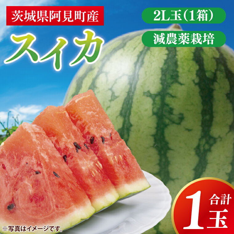 【ふるさと納税】スイカ すいか 西瓜 2L 大玉 甘い 茨城県産 阿見町 産地直送 夏限定 フルーツ シャリ感 春 旬 夏 先行予約【2026年6月下旬より順次配送】（73-02）