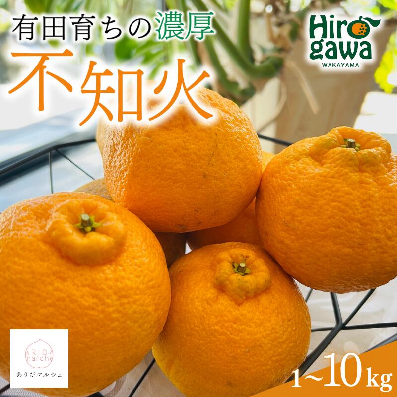 【ふるさと納税】【先行予約】 有田育ちの濃厚 不知火 ( デコポン と同品種)( 訳あり 家庭用 ) ※2026年1月下旬～2026年3月下旬に順次発送 ※北海道・沖縄・その他離島地域は発送不可 / しらぬい みかん 和歌山 有田 柑橘 果物 フルーツ くだもの 果実 有田 濃厚 //dekopon