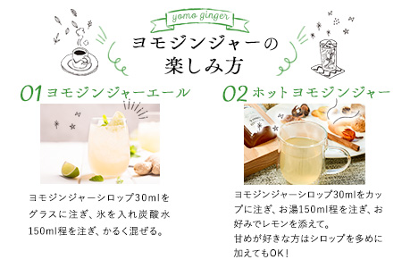 ヨモジンジャーシロップ 225ml×2本 A-TeaM《60日以内に順次出荷（土日祝除く）》熊本県 葦北郡 津奈木町 シロップ　よもぎ 蓬 万能薬草