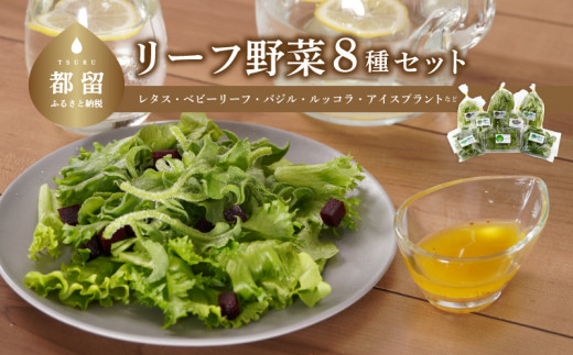 
リーフ野菜8種類詰合せセット
