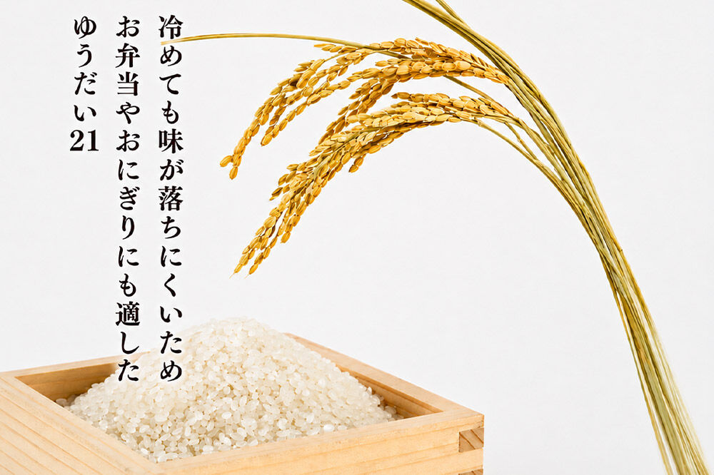 お米 【2026年10月以降順次発送 先行受付】 ≪令和8年産 新米受付≫ 《定期便6ヶ月》 冷めても美味しくもっちり甘い！ ゆうだい21 5kg×1袋 【白米】 [ラ・ファータ ゆうだい21 ブラン