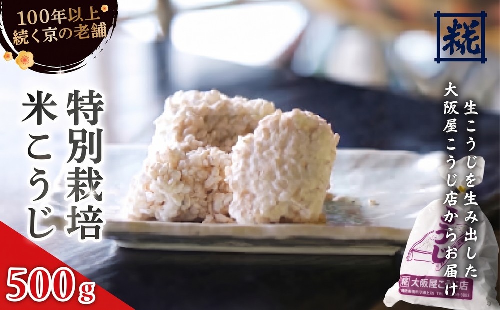 
                  特別栽培米 生こうじ 500g ： 生こうじ 米麹 麹 こうじ 生麹 手作り 塩麹 味噌 糀味噌 こうじ味噌 麹甘酒 甘酒 和食 発酵食品 味噌づくり 自家製 食品添加物 無添加 冷蔵 京都府 舞鶴市 大阪屋こうじ店 
                