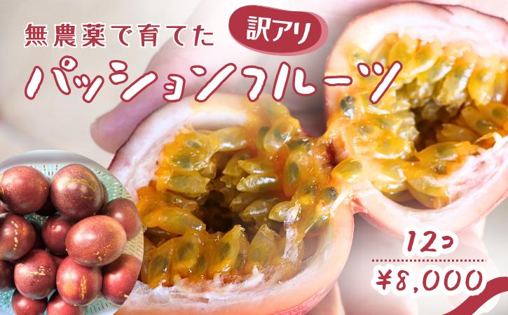 
                  【 訳あり 夏季限定 】種子島 さご農園 パッションフルーツ サマークイーン (12個)　NFN683【200pt】 種子島産 数量限定 南国 無農薬 安心 安全 K-GAP 果物 夏の果物 訳アリ ご自宅用
                