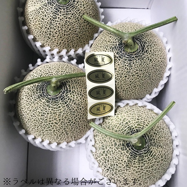 【令和8年産】食の都庄内　庄内の風夏メロン約5kg（3～5玉） ※2026年7月上旬～8月上旬頃発送 [HM5-010(三枡屋)] 風夏メロン約5kg（3～5玉） ￥21,500