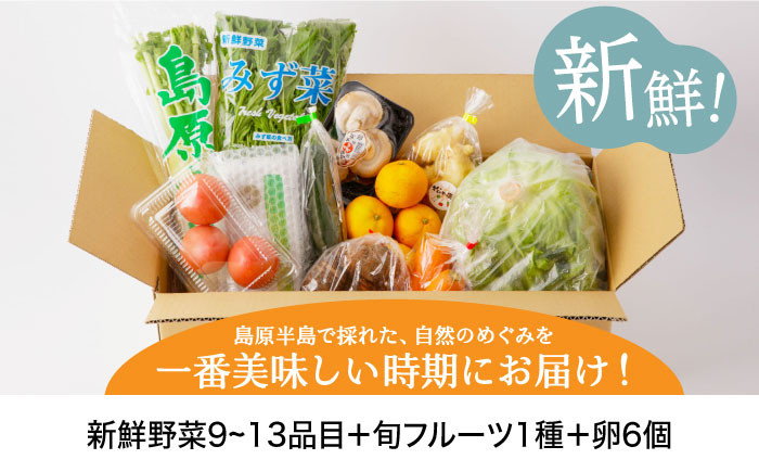 島原半島で採れた自然のめぐみを一番美味しい時期にお届け！