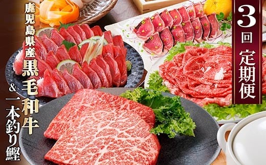 
            定期便(3回配送)枕崎お楽しみ便(黒毛和牛・一本釣りかつおたたき・さしみ) LL-6006_ 切り落し 鰹 刺身 カツオ ステーキ 肉 牛肉 【1462806】
          