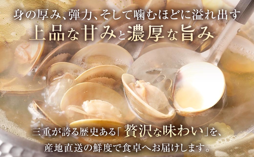 はまぐり 約1.5kg 特製だし汁付き 約1.5kg