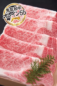 最上級Ａ５ランクオレイン５５　リブロース　スライス（大）　約500ｇ