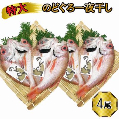 ふるさと納税 出雲市 特大 のどぐろ　一夜干し2尾×2箱セット【6-008】