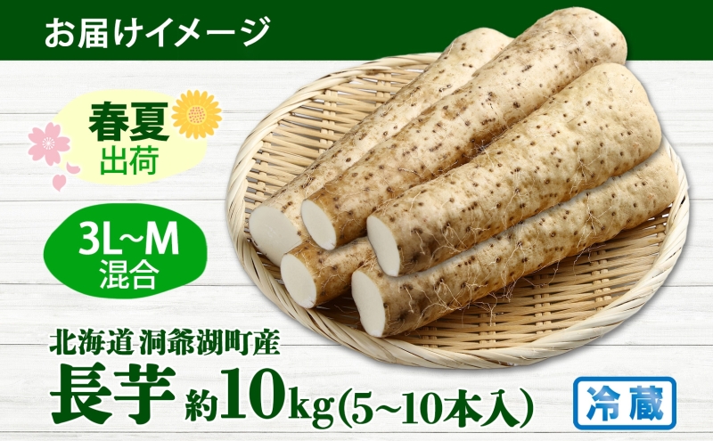 北海道産 長いも 春夏出荷 約10kg 2025年5月上旬～7月下旬お届け 長芋 ながいも とろろ 農作物 野菜 新鮮 根菜  山かけ 産地直送 お取り寄せ 送料無料 冷蔵 北海道 洞爺湖町