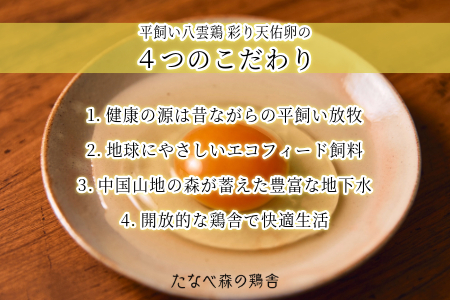卵30個 平飼い八雲鶏(やくもどり)卵 彩り天佑卵(てんゆうらん) 卵10個×3パック 卵30個 おいしい卵 卵焼き 卵かけご飯 洋菓子用卵 卵料理に！ 安心安全卵 高品質卵
