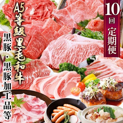 定期便(1年で10回配送)お楽しみ便(A5等級黒毛和牛・鹿籠豚(黒豚)・かご豚加工品等HH−6004【配送不可地域：離島】【1166752】