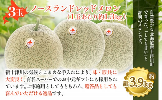 【先行予約】【数量限定】 赤肉メロン3玉【令和８年７月～８月上旬発送】