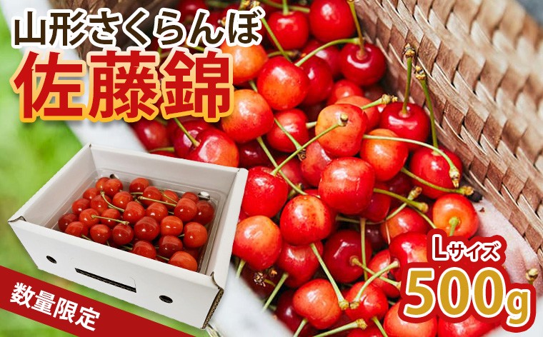 
                  山形の旬をお届け！さくらんぼ佐藤錦！500g L玉 【令和9年産先行予約】FS25-068
                