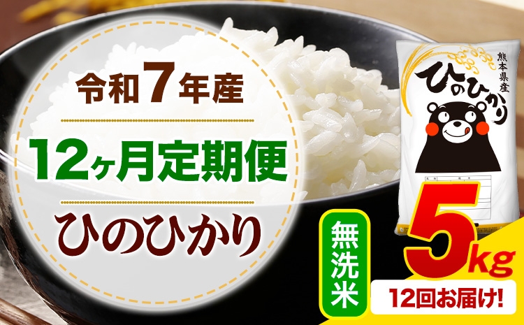 
                  【12ヶ月定期便】 令和7年産 無洗米 ひのひかり 定期便 5kg《お申込み翌月から出荷》熊本県産 ふるさと納税 精米 ひの 米 こめ ふるさとのうぜい ヒノヒカリ コメ お米
                