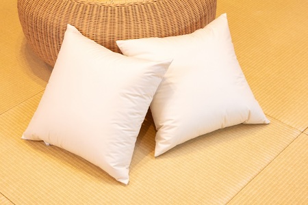 白州洗いの羽毛クッション　2個セット　ダウン50％ 50×50ｃｍ　740g クッション 羽毛 2個セット 50×50ｃｍ ダウン 50％ 740g ホテル仕様 日本製 白州洗いの羽毛クッション 新生