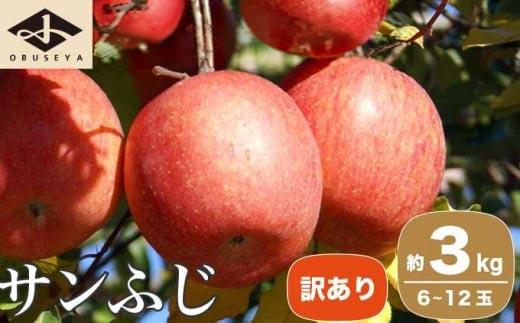 【訳あり】 サンふじ 約3kg 6～12玉 ［小布施屋］ りんご 林檎 リンゴ 不揃い 規格外 果物 フルーツ 生産者応援 支援 家庭用  長野県産 信州産 小布施町 令和7年産 【2025年11月下旬～2026年4月発送】 ［B-71］