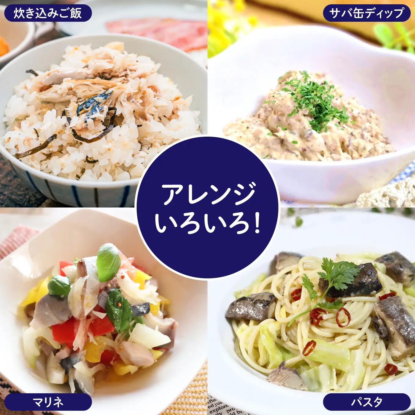 HOKO 鯖水煮 津軽海峡の塩使用 ＜24缶＞ 1缶200g 国産さば 宝幸 おかず おつまみ 缶詰 非常食 保存食 長期保存 青森県 八戸市