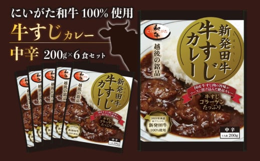 牛すじ カレー 6個 セット 200g×6 中辛 パック 牛肉 肉 和牛 保存食 備蓄 レトルト 新発田市 新潟 新発田牛 国産牛 厳選和牛 贅沢 牛肉 国産 ご飯 にいがた ブランド牛 備蓄食 非常食 保存 贈答 プレゼント おすすめ お取り寄せ 家族  H23_02