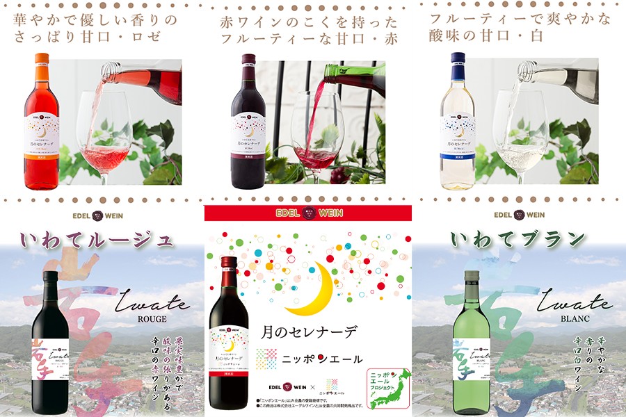 エーデルワイン アソート6本セット 720ml×6本 赤 白 ロゼ 【2155】