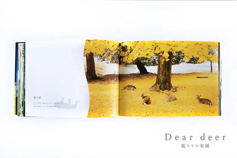奈良の鹿 写真集「Dear deer 鹿たちの楽園」（KAZUTO PHOTO OFFICE 佐藤和斗） J-63